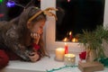 A girl with deer horns sits on the windowsill at Christmas and looks at the candles Royalty Free Stock Photo