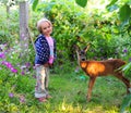 A girl with a deer in nature baby feeds a fawn and strokes she is dressed in blue clothes Royalty Free Stock Photo