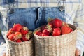 Girl in denim clothes with strawberry baskets in a sunny summer Royalty Free Stock Photo