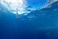 Girl diving under the sea