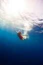 Girl diving under the sea Royalty Free Stock Photo