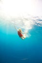 Girl diving under the sea Royalty Free Stock Photo