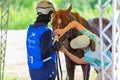 Girl doctor examines the horse at the competition. Moscow Russia July 1, 2023