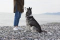 Girl with a dog on the background of the sea landscape. Pebble beach Royalty Free Stock Photo