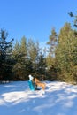 Girl with a dog breed Shar Pei. in the winter forest. a walk in the winter Royalty Free Stock Photo