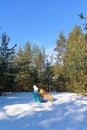 Girl with a dog breed Shar Pei. in the winter forest. a walk in the winter Royalty Free Stock Photo