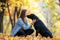 Girl with dog labrodor in autumn park at sunset Royalty Free Stock Photo