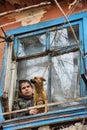 A girl with a dog in a poor quarter looking out the window of an old house Royalty Free Stock Photo