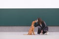 Girl and dog sitting against the wall and cute playing. Love is the owner and the puppy. Leisure with a pet