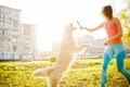 Girl with dog with stick Royalty Free Stock Photo