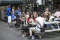 The girl with a dog and a suitcase sitting in a street cafe