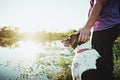 Girl with a dog watching the sunset by a lake. Royalty Free Stock Photo