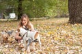 Beautiful young girl with her Yorkshire terrier dog puppy enjoying and playing in the autumn day in the park selective focus Royalty Free Stock Photo