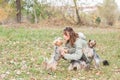 Beautiful young girl with her Yorkshire terrier dog puppy enjoying and playing in the autumn day in the park selective focus Royalty Free Stock Photo