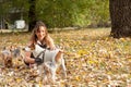 Girl with dogs, Beautiful young girl with her Yorkshire terrier dog puppy enjoying and playing in the autumn day in the park Royalty Free Stock Photo