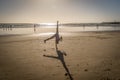 Girl at Doing Cartwheel on Sand at Beach Royalty Free Stock Photo