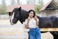 Attractive girl doing make up near a black horse Royalty Free Stock Photo