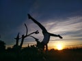 Girl doing split on handstand. A model stands on her hands, doing gymnastic splits against the blue sky Royalty Free Stock Photo