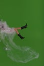 Girl doll legs stuck in a martini glass, covered with a spider`s web