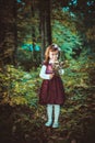 Girl in a dress at autumn Royalty Free Stock Photo