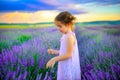 Girl in a dress gathers a bouquet in a field of lavender at sunset