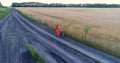 Girl in a dress goes with the bike along fields of wheat. Shooting at the drone. Beautiful landscape from a height