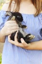 Girl in dress holding fluffy bunny with hands clutching gently to her chest