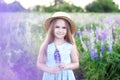 Girl in a dress holding a lupine at sunset on the field. The concept of nature and romance. childhood. Portrait of a beautiful gir Royalty Free Stock Photo