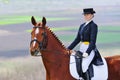 Girl and dressage horse Royalty Free Stock Photo