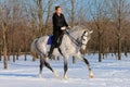 Girl on dressage horse in winter Royalty Free Stock Photo