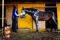 A girl dressed as a witch took a horse out of a corral with a skeleton painted in white paint Royalty Free Stock Photo