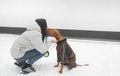 Girl is dressed in a jacket and a dog wearing clothes in the street in the snow in the winter, dog kisses the owner against the Royalty Free Stock Photo