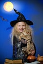 Girl dressed up as witch in night with cat Royalty Free Stock Photo