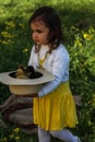 girl with ducklings in daisies Royalty Free Stock Photo