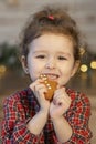 Girl eating gingerbread man cookie for new year. child eating christmas cookies  child eating christmas cookies Royalty Free Stock Photo