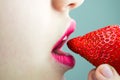 Girl eating strawberries close-up. Ripe red strawberries Royalty Free Stock Photo