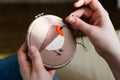 Girl embroiders a bird with a stitch. DIY concept, Hobbies, creativity, clothing and interior decoration