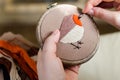 Girl embroiders a bird with a stitch. DIY concept, Hobbies, creativity, clothing and interior decoration Royalty Free Stock Photo