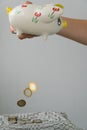 The girl is emptying the piggy bank. Piggy bank in the form of a painted pig. A handful of coins