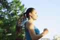 Girl is engaged in fitness in the park, doing exercises. Training on the street in the summer morning. Concept sport healthy Royalty Free Stock Photo