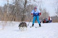 Girl engaged in skijoring with a dog breed Siberian husky winter Sunny day in Russia