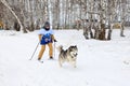 Girl engaged in skijoring with husky dog on a Sunny winter day in Siberia