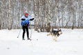 Girl engaged in skijoring winter Sunny day in Siberia