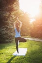 Girl is engaged in yoga in the park, doing exercises. Training on the street in the summer morning. Concept sport healthy Royalty Free Stock Photo
