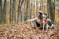 Girl enjoy walk with husky dog. Siberian husky favorite pet. Animal husbandry. Girl pretty stylish woman walking with Royalty Free Stock Photo