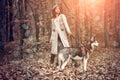 Girl enjoy walk with husky dog. Siberian husky favorite pet. Animal husbandry. Girl pretty stylish woman walking with Royalty Free Stock Photo