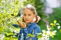 The girl is enjoying the apple blossom. A little preschool girl in a garden with tree flowers. Copy space Royalty Free Stock Photo