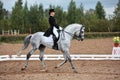 Girl equestrian riding horseback