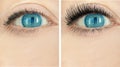 Girl eyes eyelashes before and after