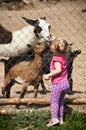 Girl feeding animals